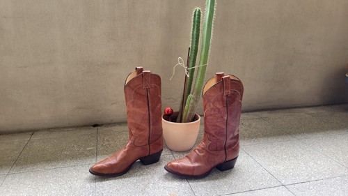 Damen cowboystiefel cognac - damen,