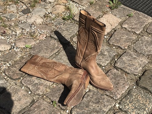 Sendra kaiman caiman - kaiman,